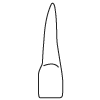 Tooth 10