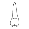 Tooth 13