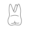 Tooth 14