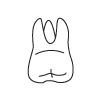 Tooth 16