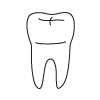 Tooth 17
