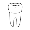 Tooth 18