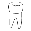 Tooth 19
