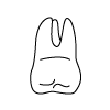 Tooth 2