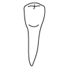 Tooth 20