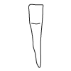Tooth 26