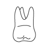 Tooth 3