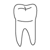 Tooth 30