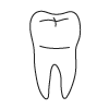 Tooth 31