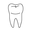 Tooth 32