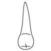 Tooth 5