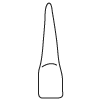 Tooth 7